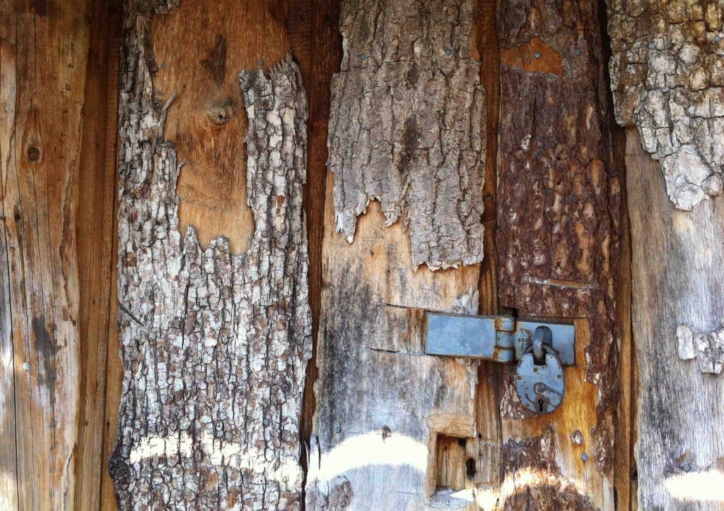 Door with lock Meghan Genge