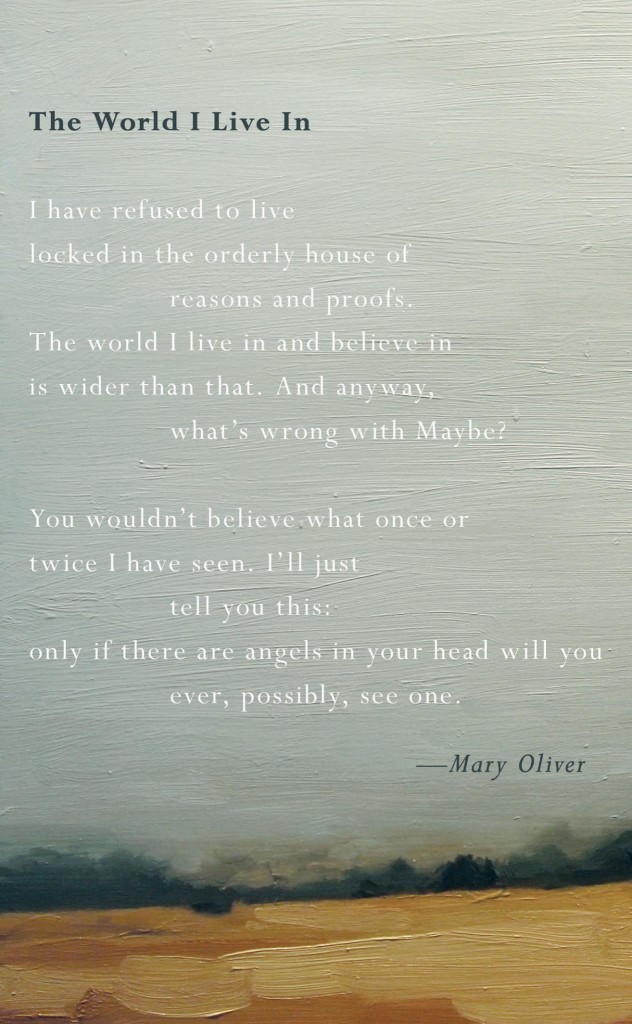 mary oliver the world I live in