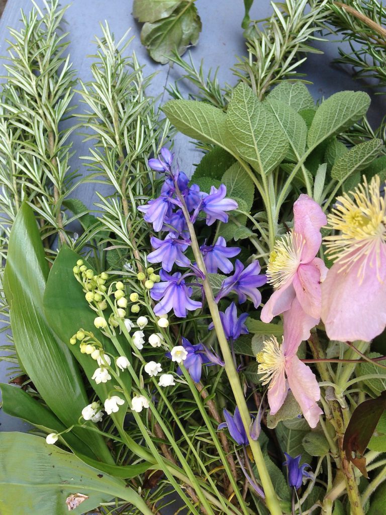 wildflowers and herbs